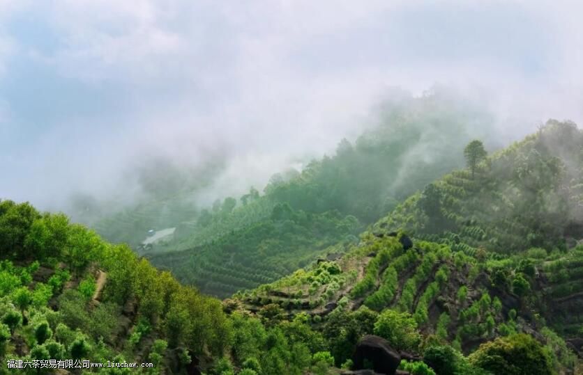 ���ع����ϵġ�������ˮ�����ӡ���������Ӯ������������