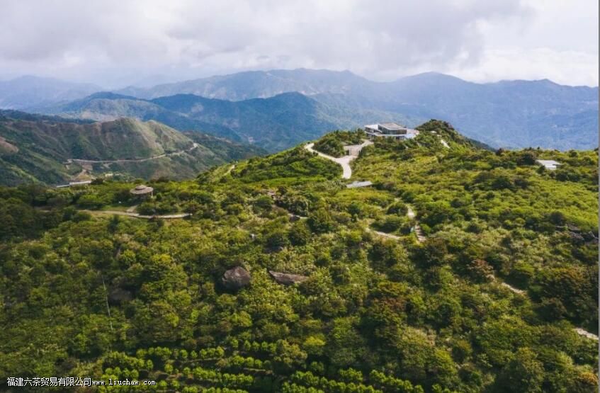 ���ع����ϵġ�������ˮ�����ӡ���������Ӯ������������