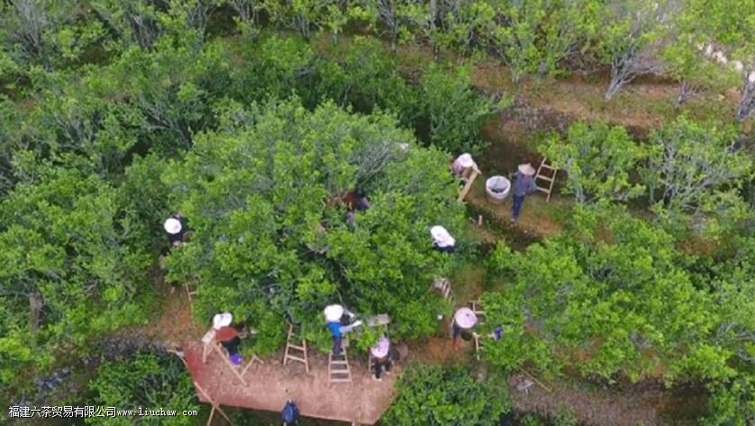 ���ع����ϵġ�������ˮ�����ӡ���������Ӯ������������