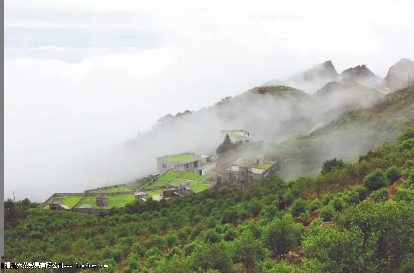 ���ع����ϵġ�������ˮ�����ӡ���������Ӯ������������