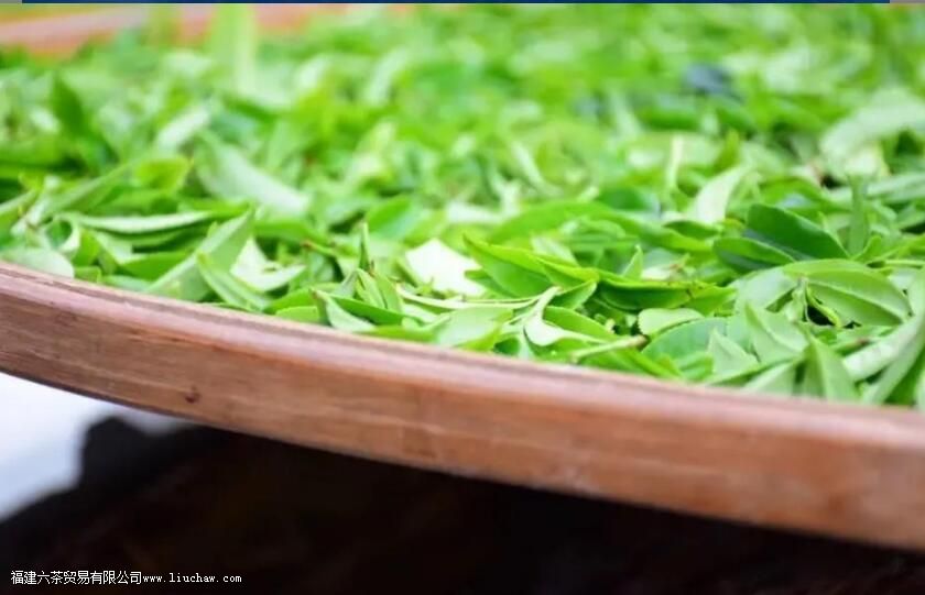 ���ع����ϵġ�������ˮ�����ӡ���������Ӯ������������