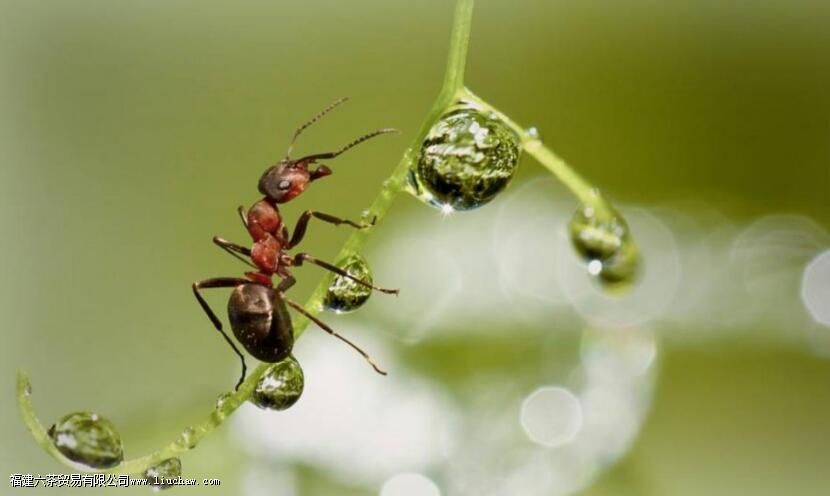 ����һ�£�����һ�ˣ�������·���������ڱ���������ǰ��