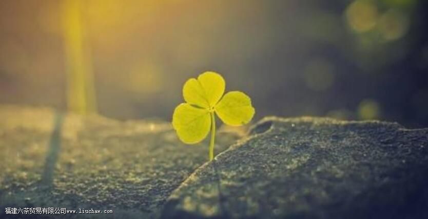 ����һ�£�����һ�ˣ�������·���������ڱ���������ǰ��