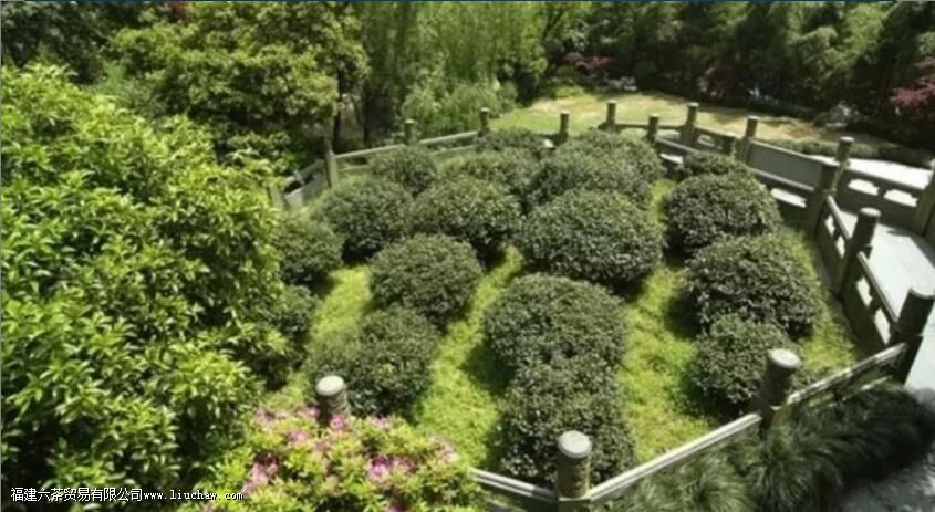 ����Ǭ¡��Ϊ����Ĳ�Ҷ��ʲô