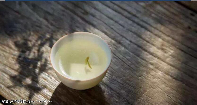 ���������ʲô�ĺ���