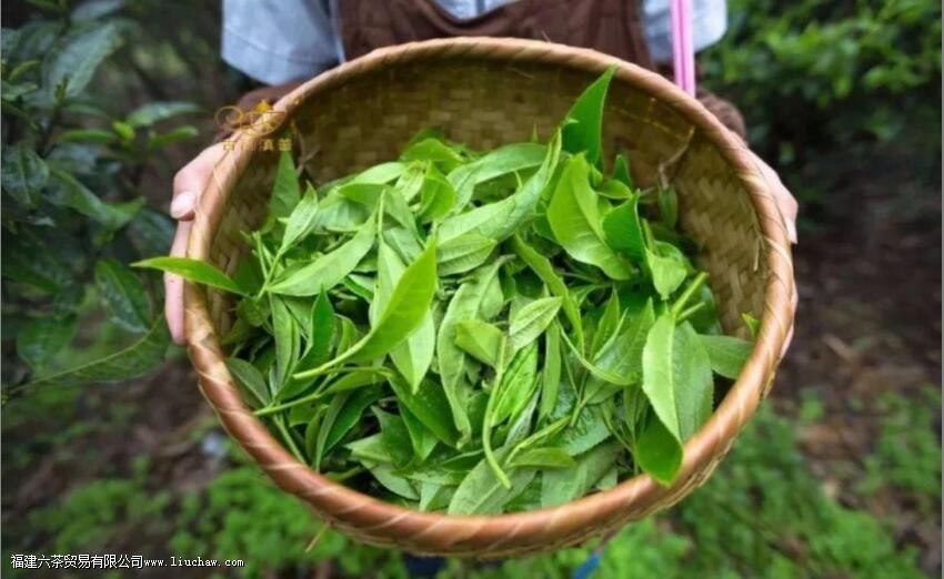 ��ı�������Щ