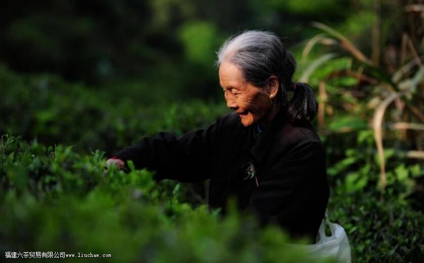 �軰  �Ȳ���񫣬����������һ������​