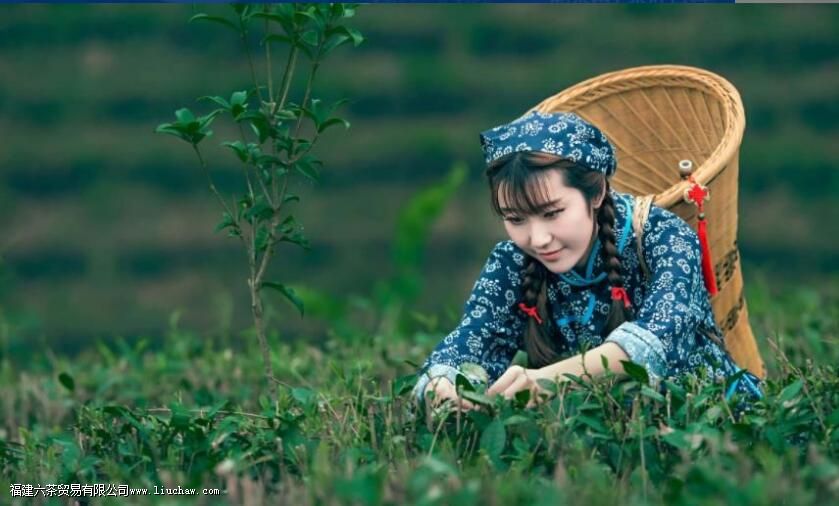 �軰  �Ȳ���񫣬����������һ������​