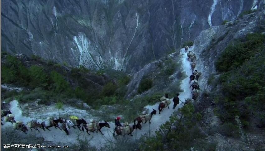 �����ŵ�����ʷ����