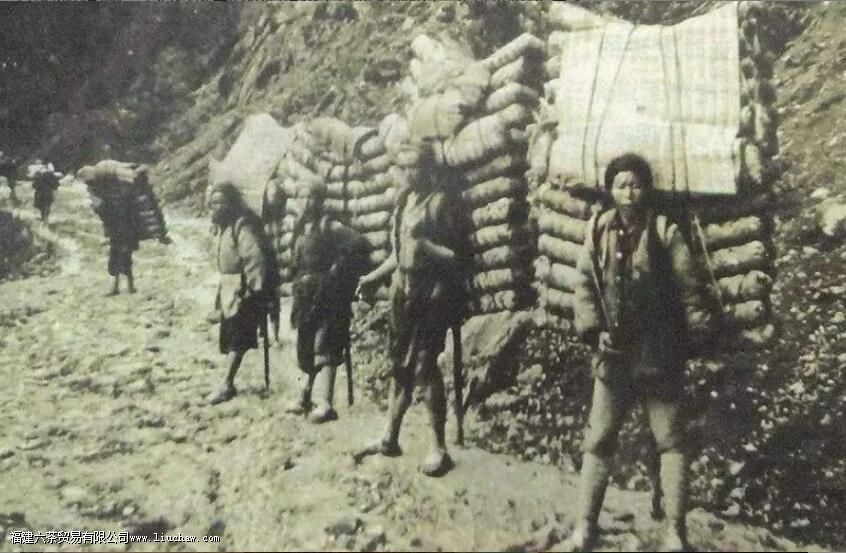 �����ŵ�����ʷ����