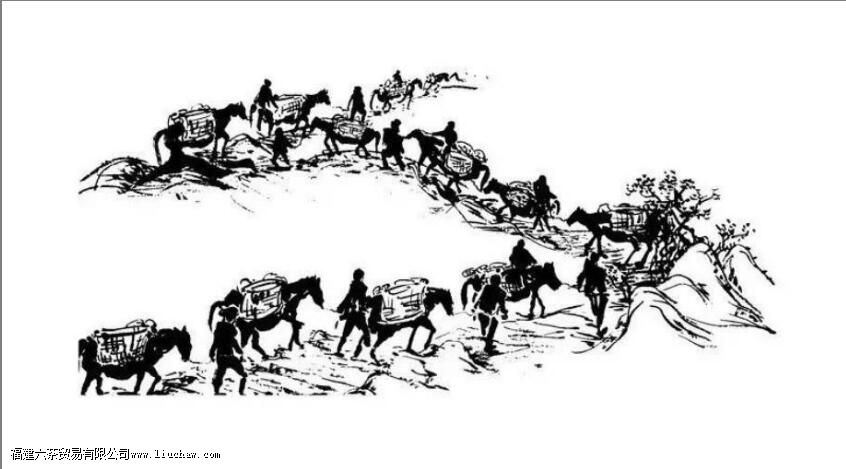 �����ŵ�����ʷ����