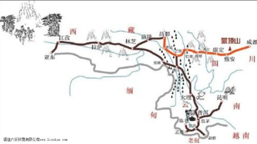 �����ŵ�����ʷ����