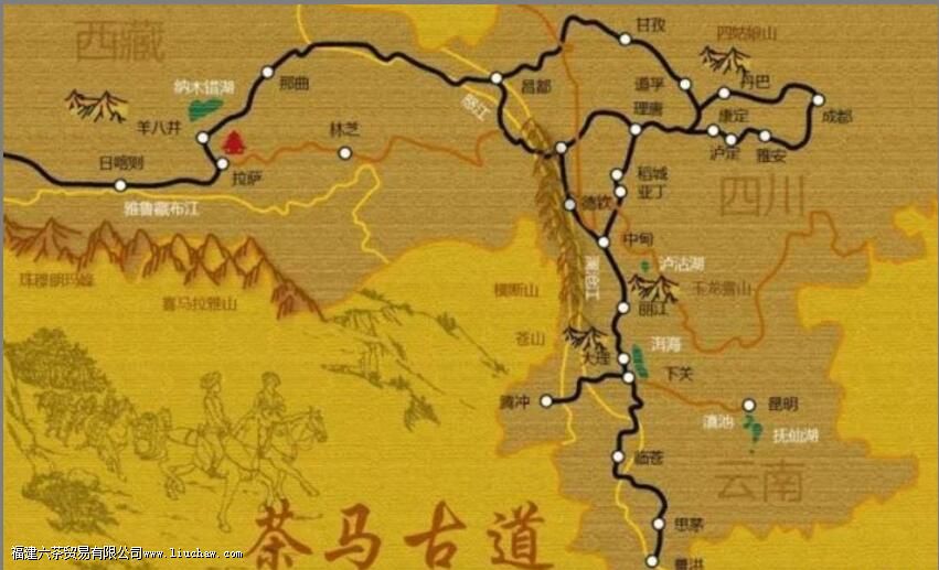 �����ŵ�����ʷ����