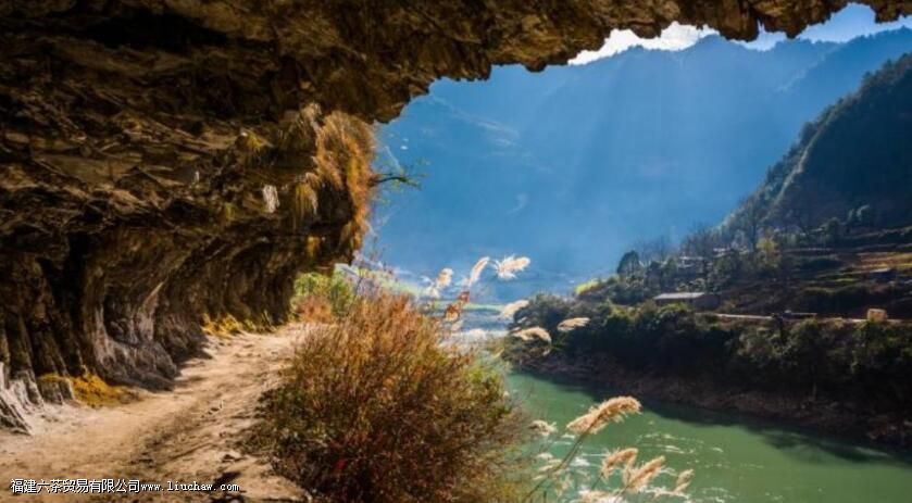 �����ŵ�����ʷ����