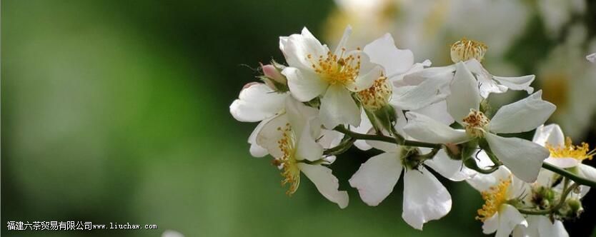 ������ʲô��˼