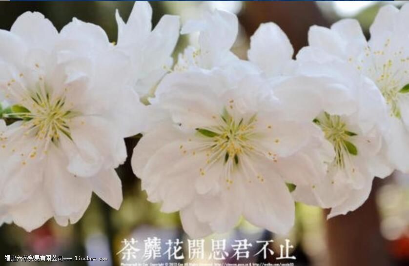 ������ʲô��˼