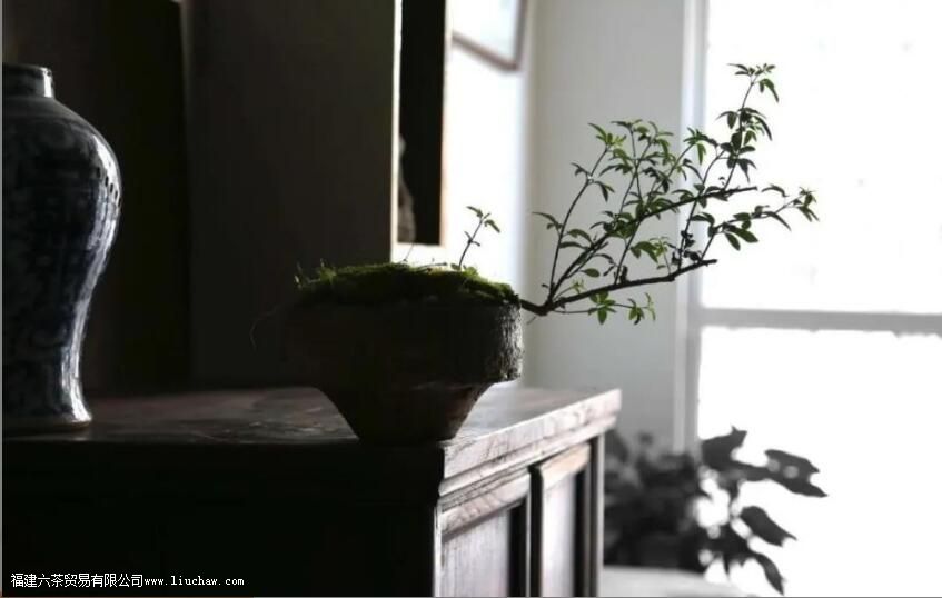 ��ů�ķ� �˼���Сů�������ޱ���