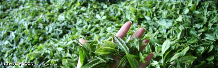 ²èʲôʱºò³öÏÖÔÚÖйú ²èʲôʱºò³öÏÖÔÚÖйú