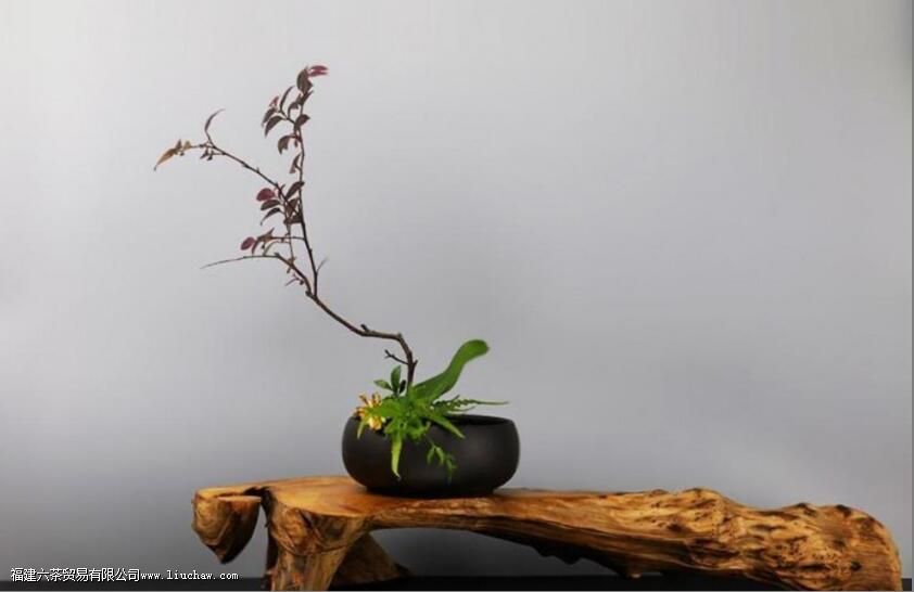 ���Ҳ廨��Ŀ��