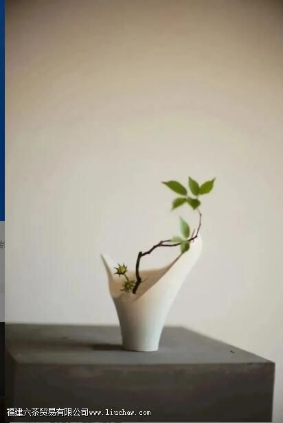 ���Ҳ廨���󽲾���˲�������Ȳ���