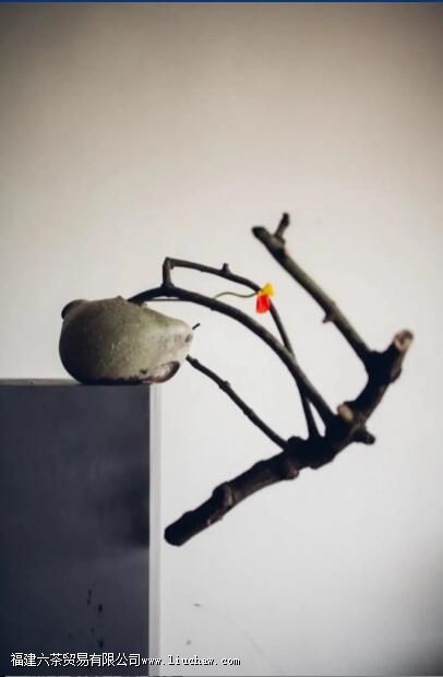 ���Ҳ廨���󽲾���˲�������Ȳ���