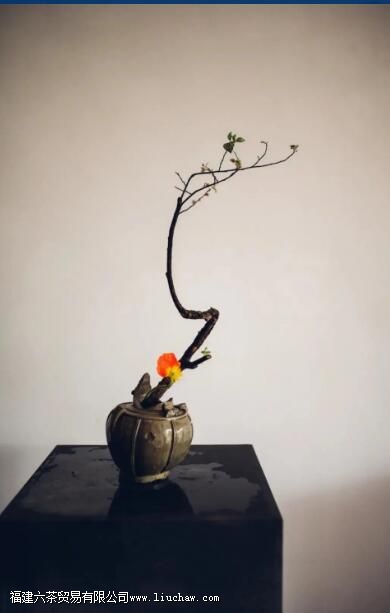 ���Ҳ廨���󽲾���˲�������Ȳ���