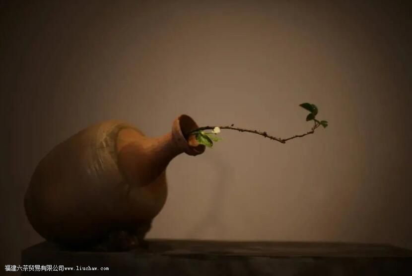 ���Ҳ廨���󽲾���˲�������Ȳ���