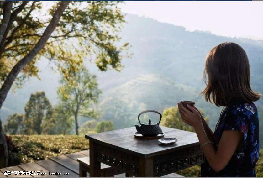 ��Ҷ����������������9�֡��Է���