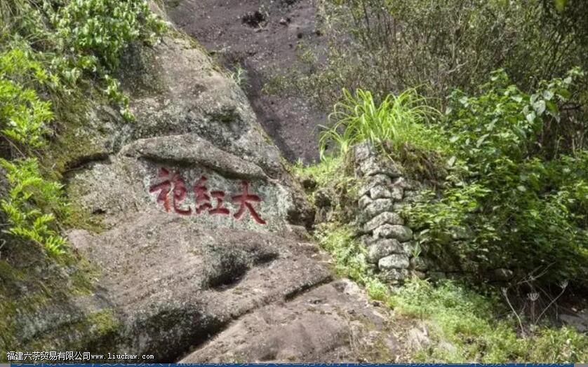 ����۵Ĺ�������ʷ�Ļ�