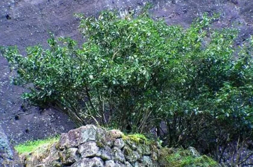 ����۵Ĺ�������ʷ�Ļ�