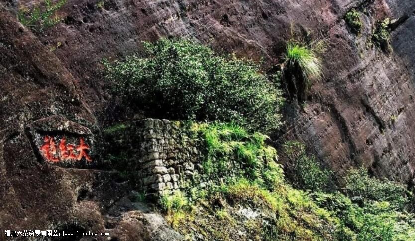 ����۵���������