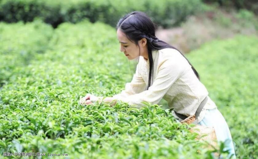 �ӷ��ӡ���ҹ�������ô����ųƣ���֪������