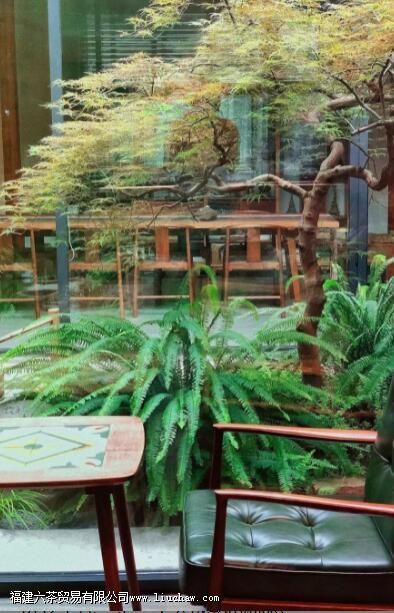 �Դ�����ҪԲ�ڣ����Լ�Ҫ���ݡ�����