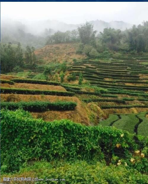 ����������������ʹ�˵