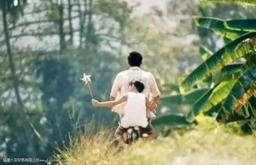 ���׵İ�����һ��Ũ�裬��Ҳ��ϲ��