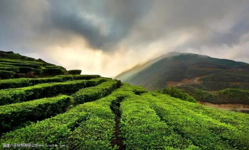 ���ϲɲ�Ϸ��������ڽ���ʡ����������