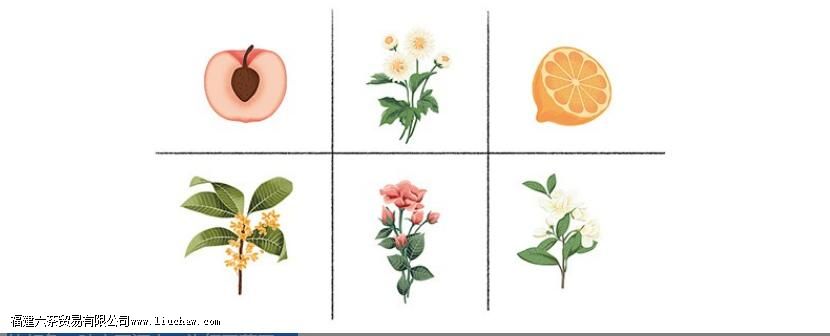 ���ֻ���Ĵ�������