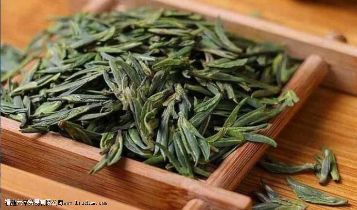 �Ŵ���Ҷר���ƶȣ���Ҷ�ԹŴ����õ�Ӱ��