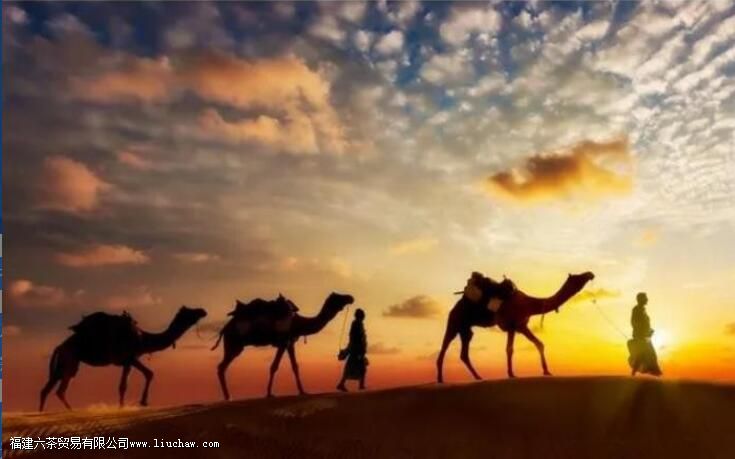 �Ŵ���Ҷר���ƶȣ���Ҷ�ԹŴ����õ�Ӱ��