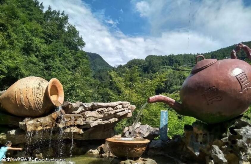 古人评茶用水的要求有哪些 古人评茶用水的要求有哪些