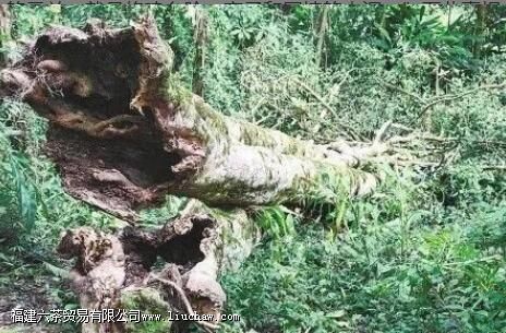 �������á�������������Ĺ���