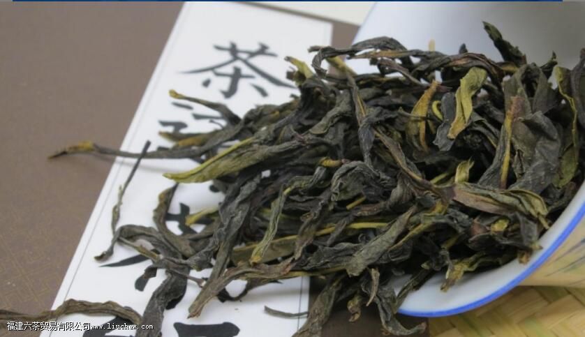 �㶫���������ʷ���