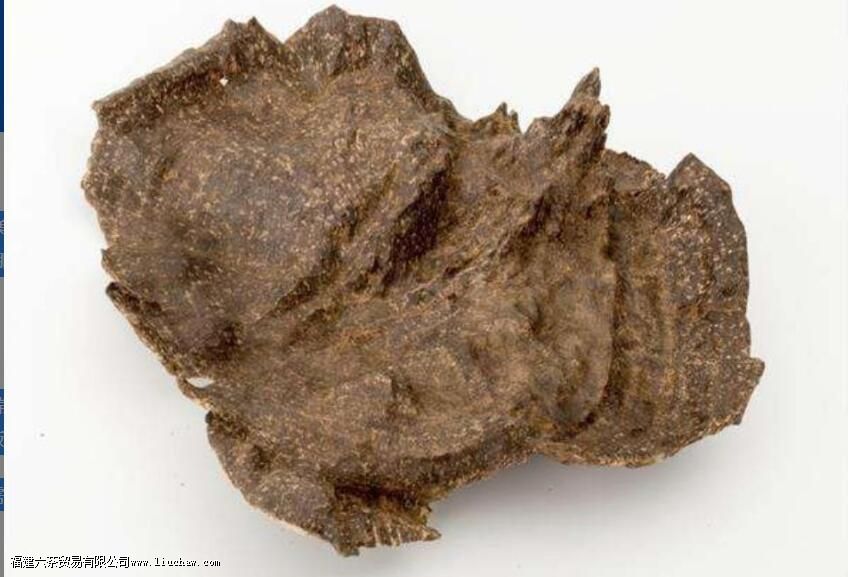 ���ϳ������