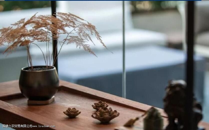 �Ȳ��5���ǻۣ��͸��������