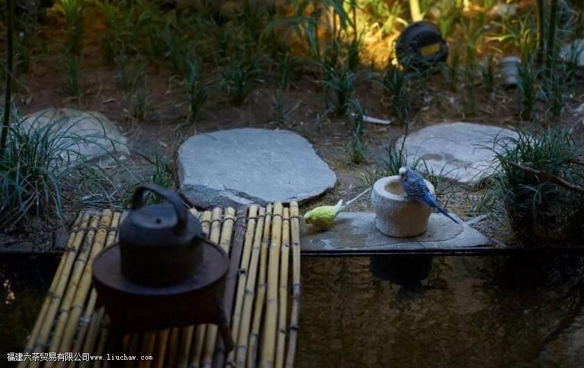 �Ȳ��5���ǻۣ��͸��������