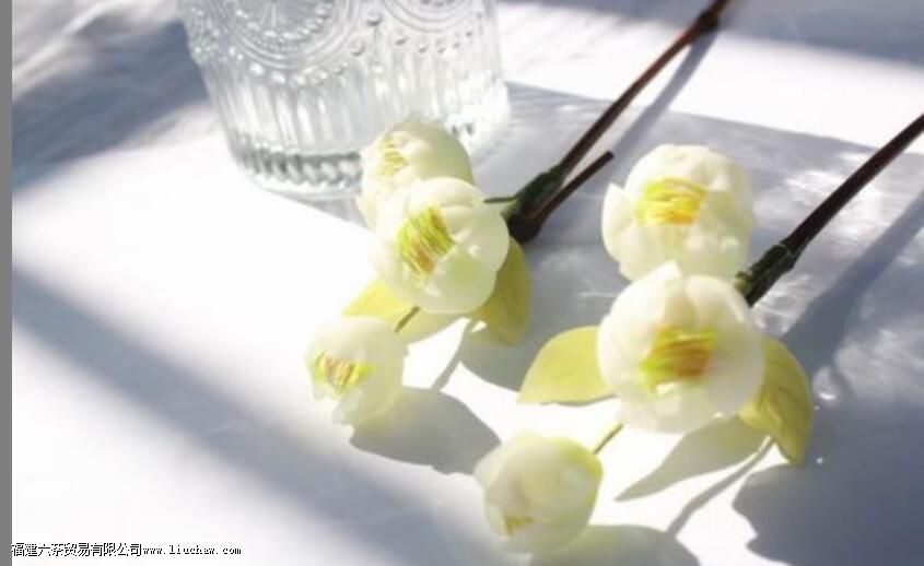 ����ƽ������һ���˳���ı�־