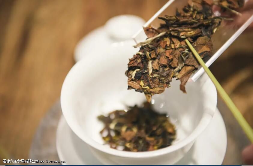 立冬,品茶,修身,养性 立冬,品茶,修身,养性