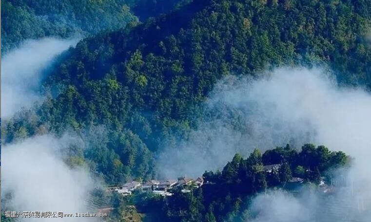 �����ɽ�Ĺ���������ϸ˵�����ɽ�ѻ�