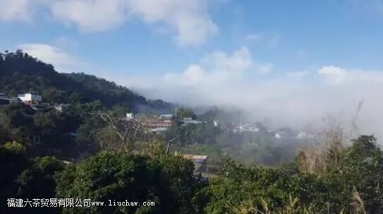 �����ɽ�Ĺ���������ϸ˵�����ɽ�ѻ�