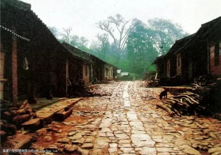 �����ɽ�Ĺ���������ϸ˵�����ɽ�ѻ�